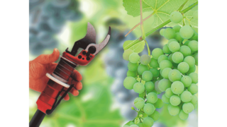 KAESER industri-stempelkompressorer inden for vinsektoren.